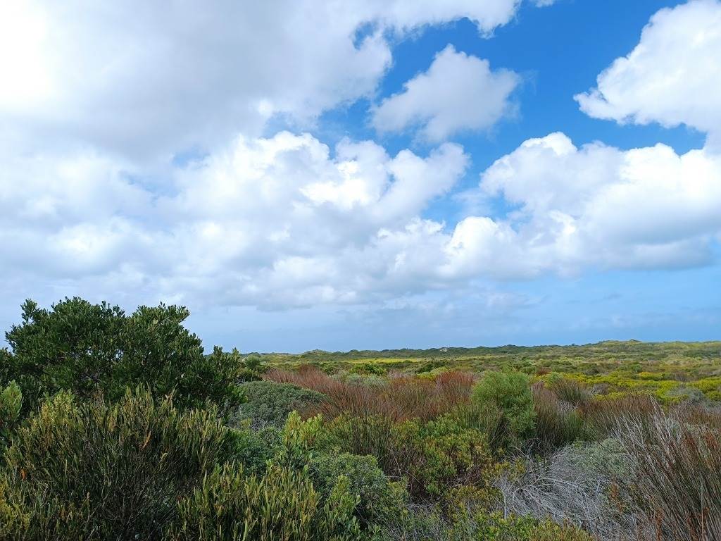 396 m² Land available in Struisbaai photo number 12