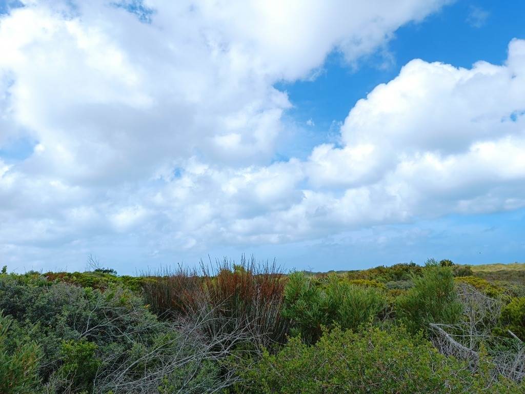 396 m² Land available in Struisbaai photo number 5