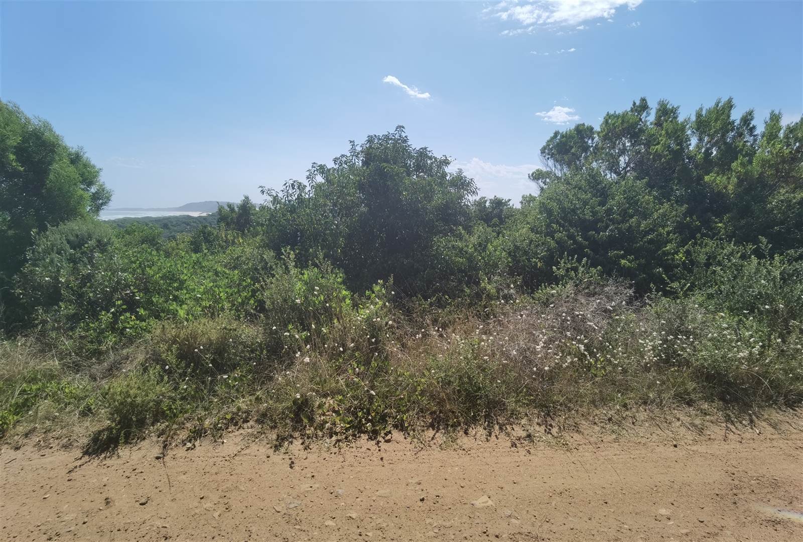 1146 m² Land available in Oyster Bay photo number 3