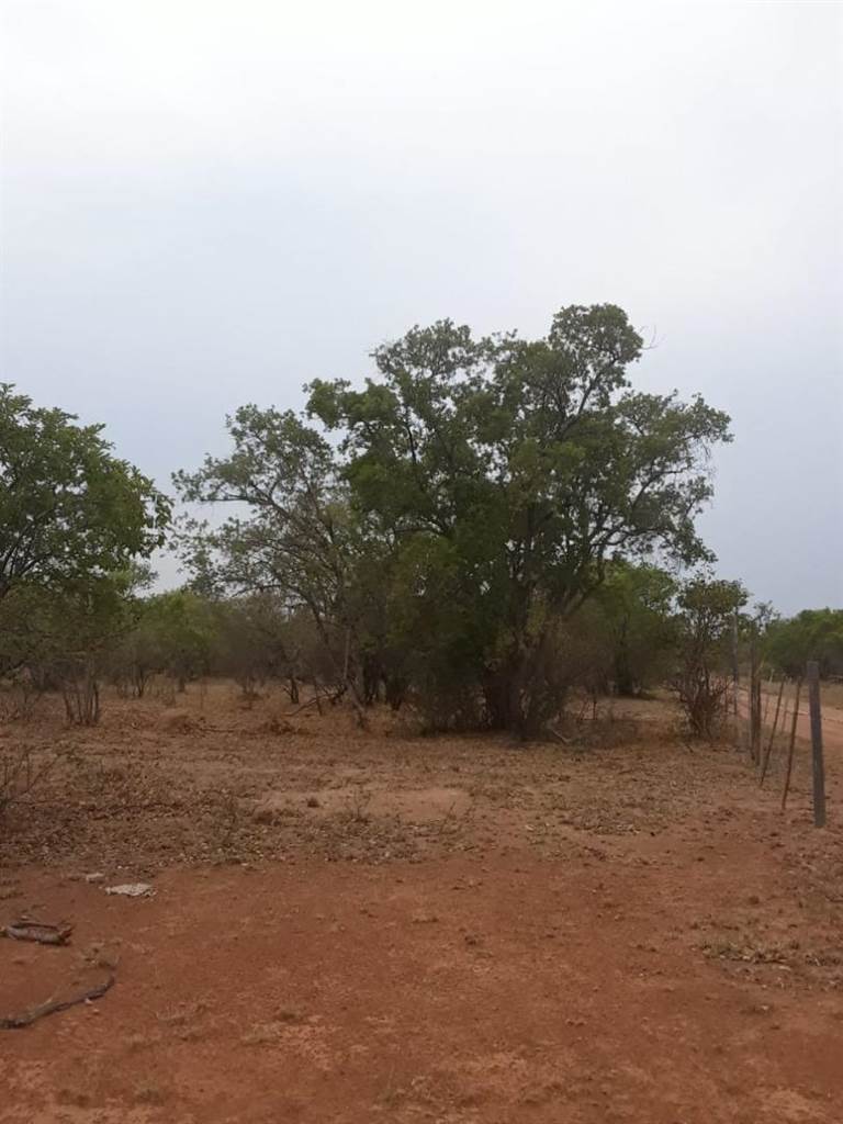 12 m² Land available in Hammanskraal photo number 7