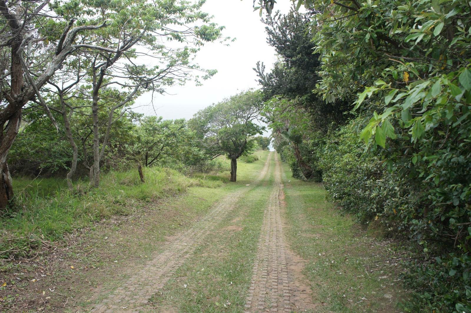 1500 m² Land available in Bazley Beach photo number 3