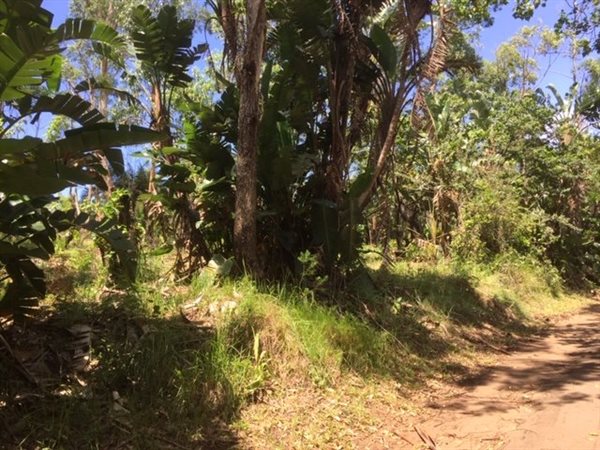 1 056 m² Land 1 056 m² Land