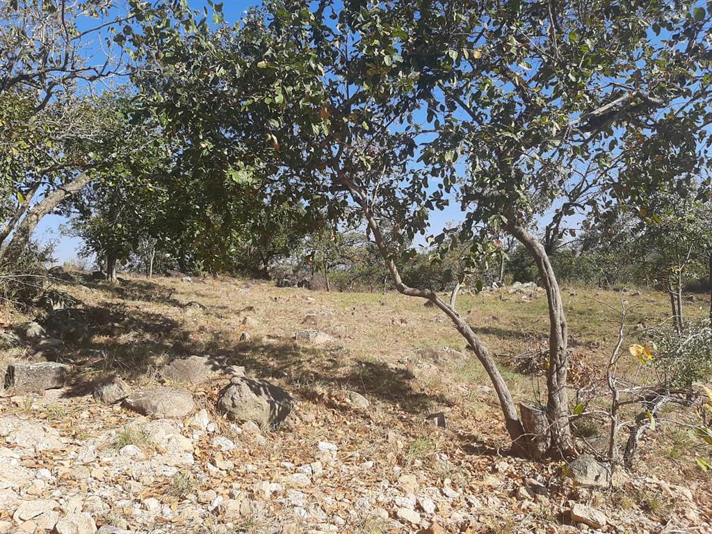 1906 m² Land available in The Rest Nature Estate photo number 5
