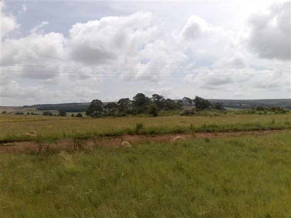 990 m² Land available in Dullstroom