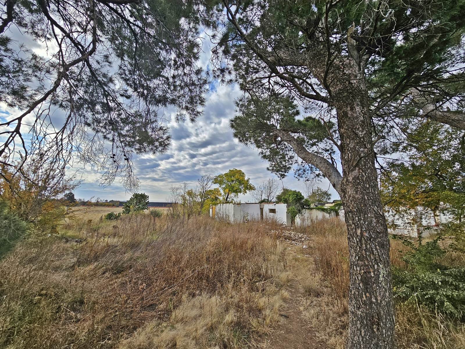 1.1 ha Land available in Estoire photo number 4