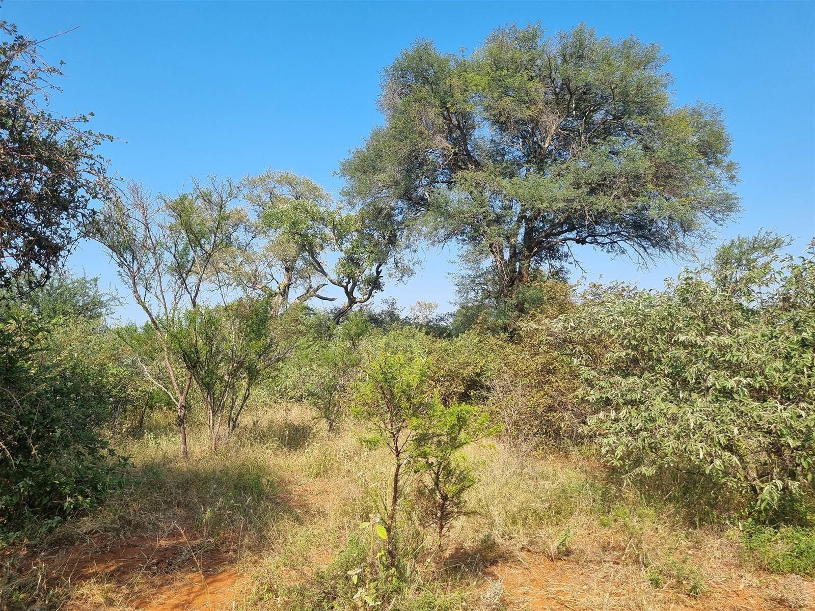 1 ha Land available in Raptors View Wildlife Estate photo number 2