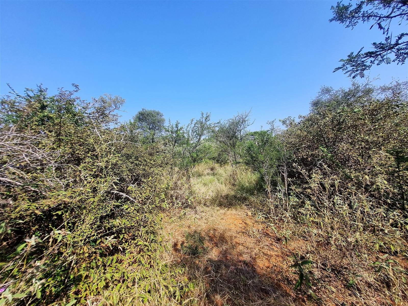 1 ha Land available in Raptors View Wildlife Estate photo number 5