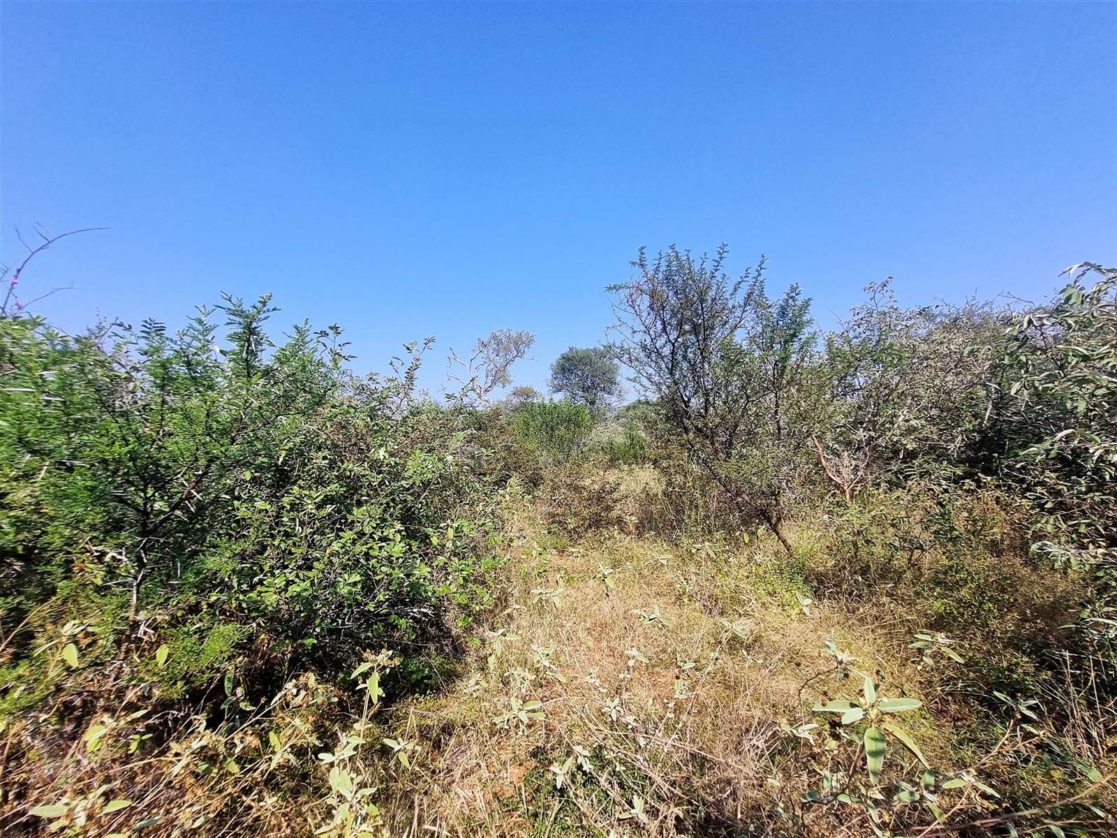1 ha Land available in Raptors View Wildlife Estate photo number 4