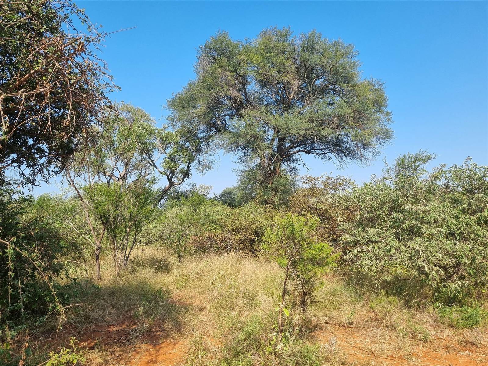 1 ha Land available in Raptors View Wildlife Estate photo number 1