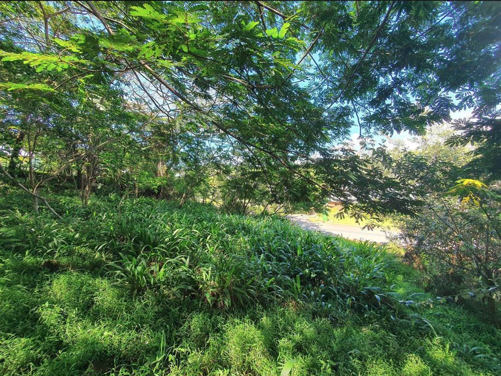 1301 m² Land available in Simbithi Estate photo number 9