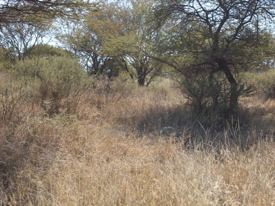 355 m² Land available in Northam photo number 7