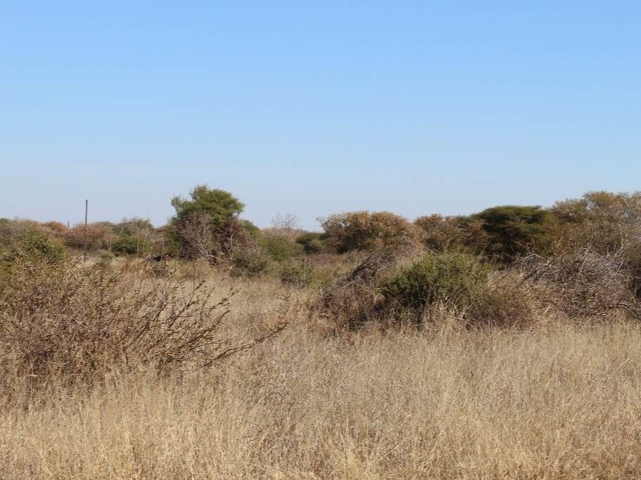 355 m² Land available in Northam photo number 5