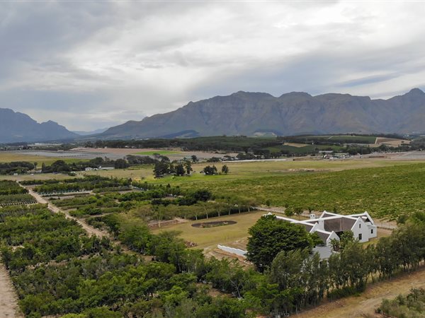 4.5 ha Farm in Stellenbosch Agricultural