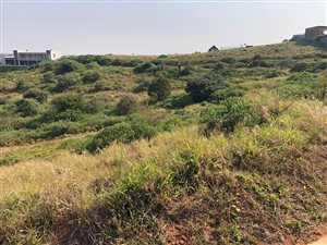 1406 m² Land available in Zululami Luxury Coastal Estate