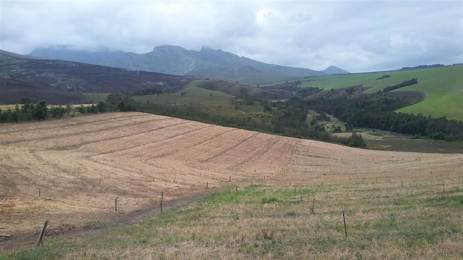 790 ha Farm in Riversdale photo number 15