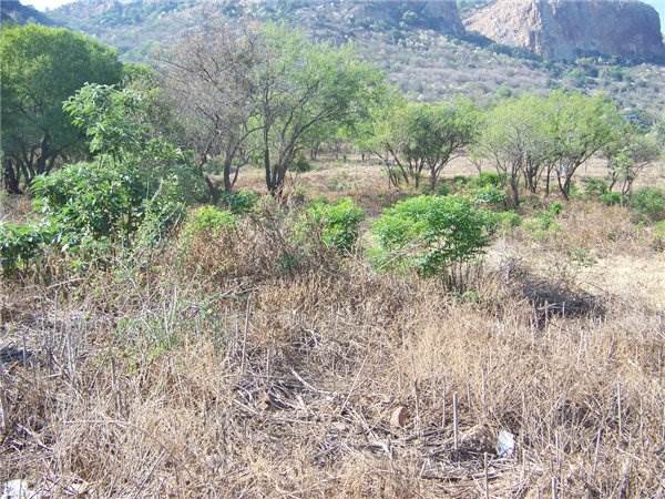 510 m² Land available in Kosmos Estates photo number 3