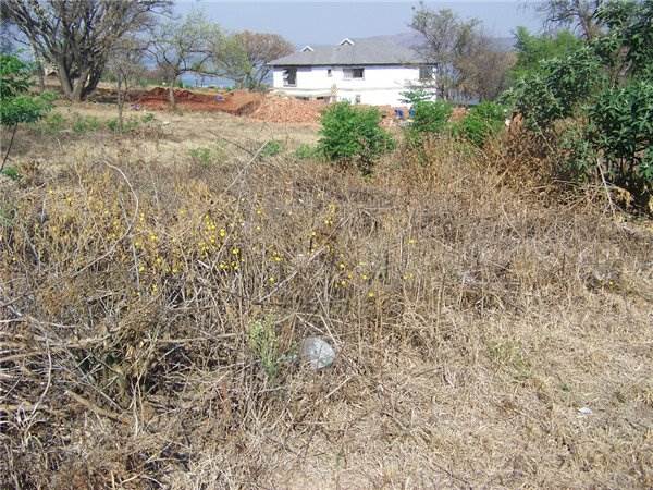 510 m² Land available in Kosmos Estates photo number 2