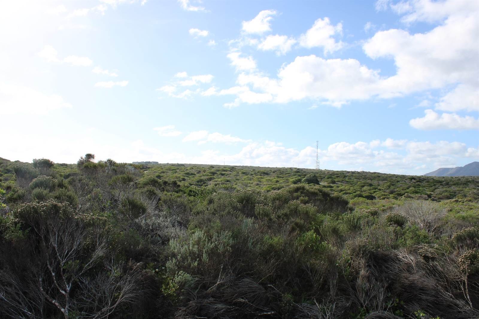 1200 m² Land available in Gansbaai and surrounds photo number 7