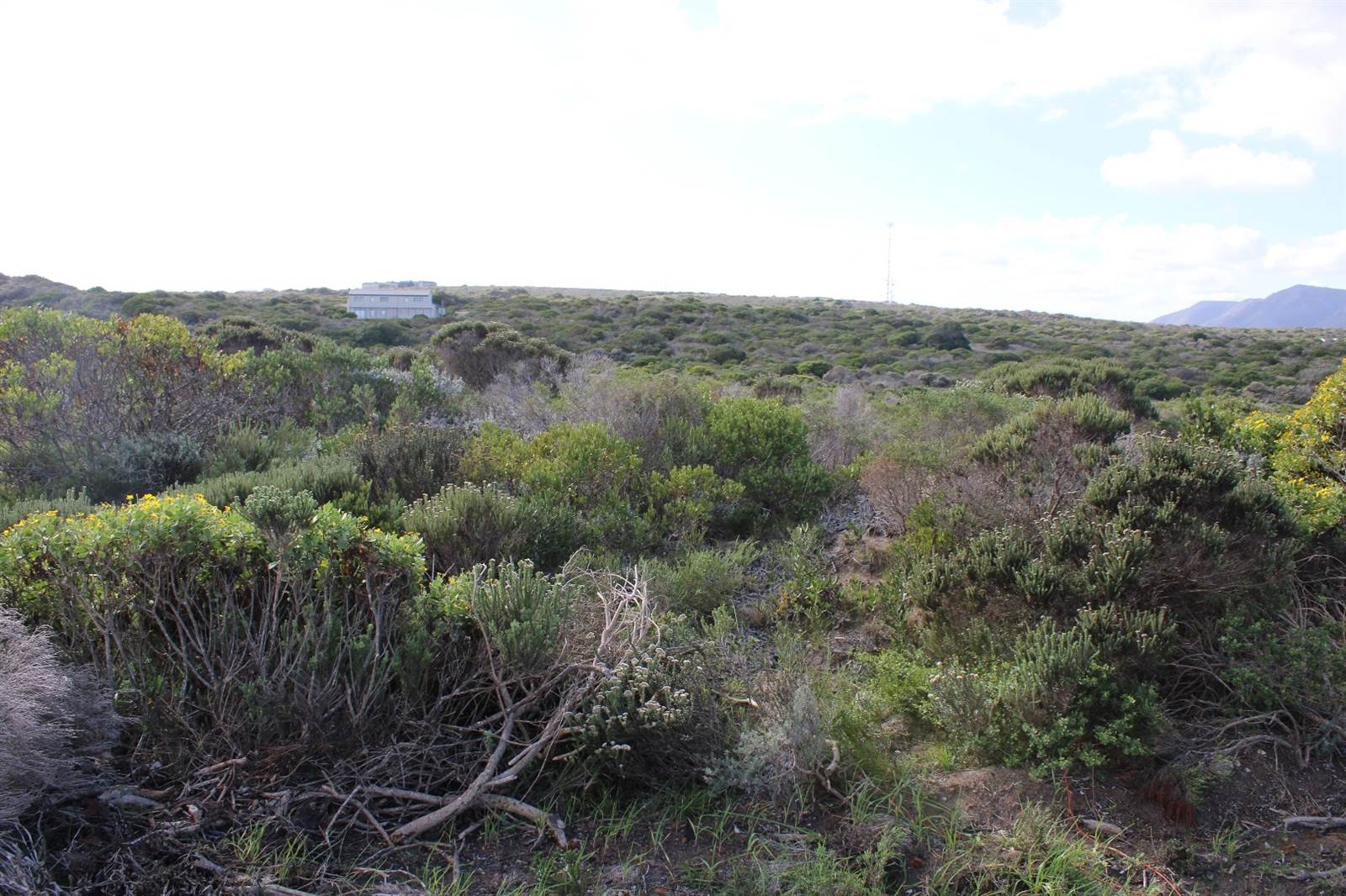 1200 m² Land available in Gansbaai and surrounds photo number 6