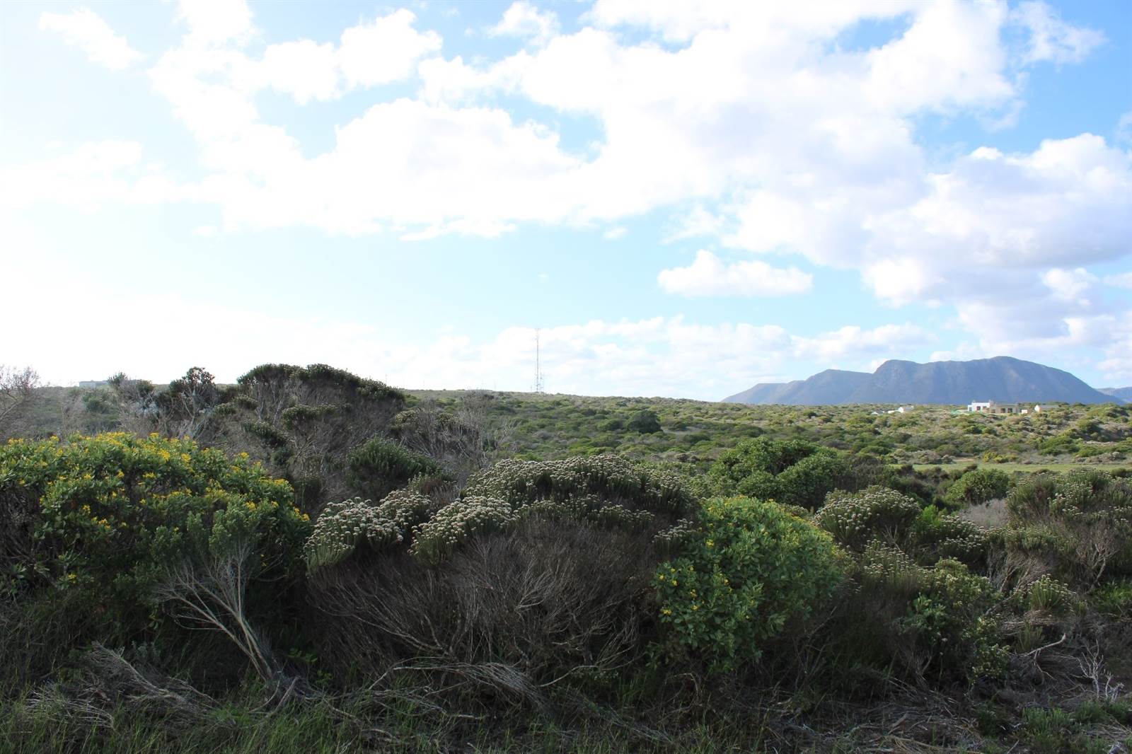 1200 m² Land available in Gansbaai and surrounds photo number 4