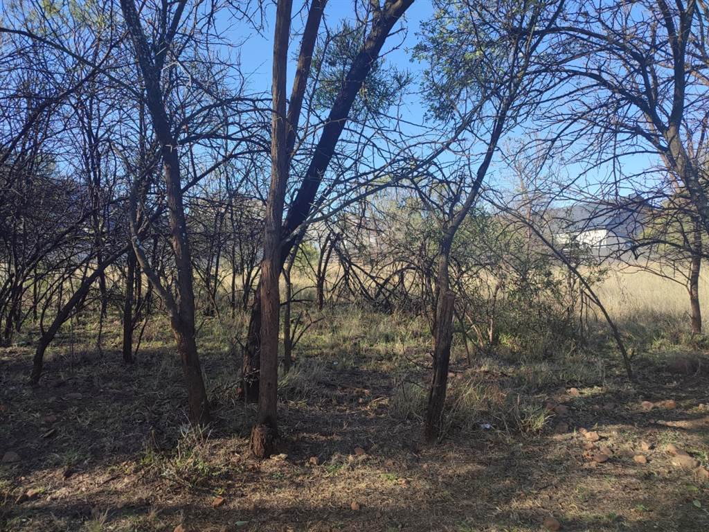 774 m² Land available in Leloko photo number 12