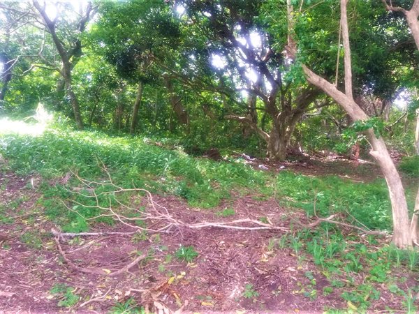 8.6 ha Land available in Umtentweni