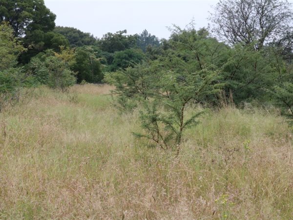 1109 m² Land available in Riversdale