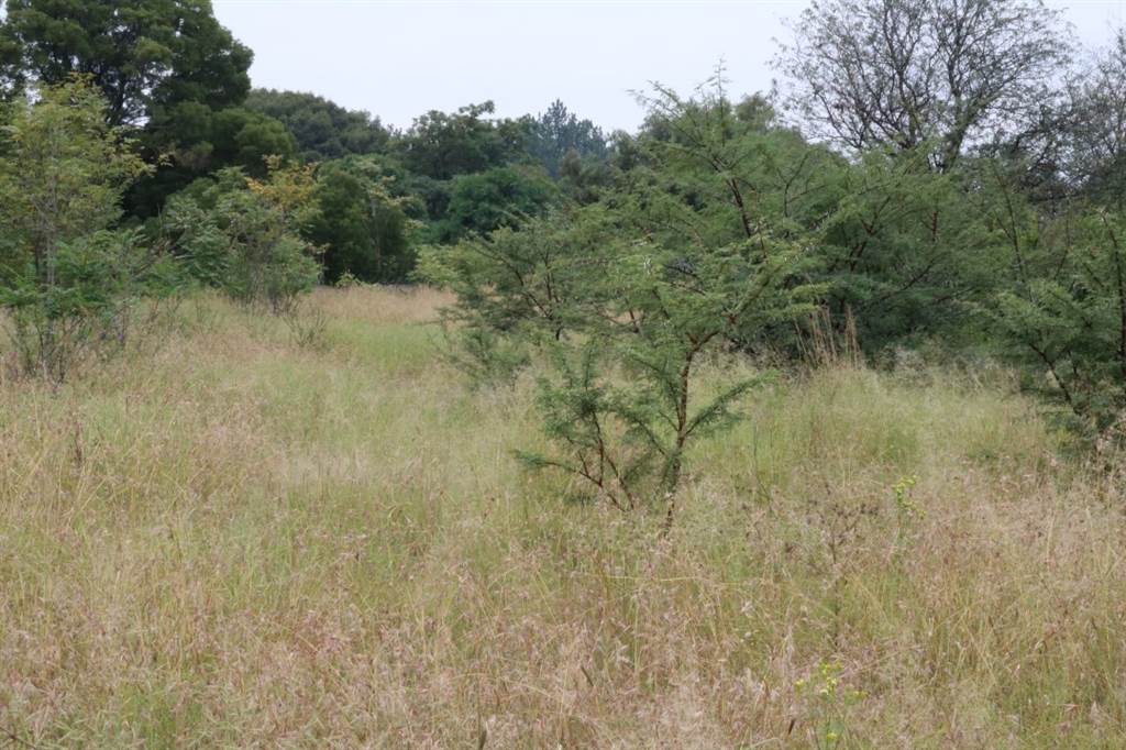 1109 m² Land available in Riversdale photo number 1