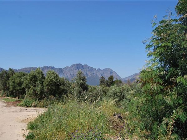 1 254 m² Land