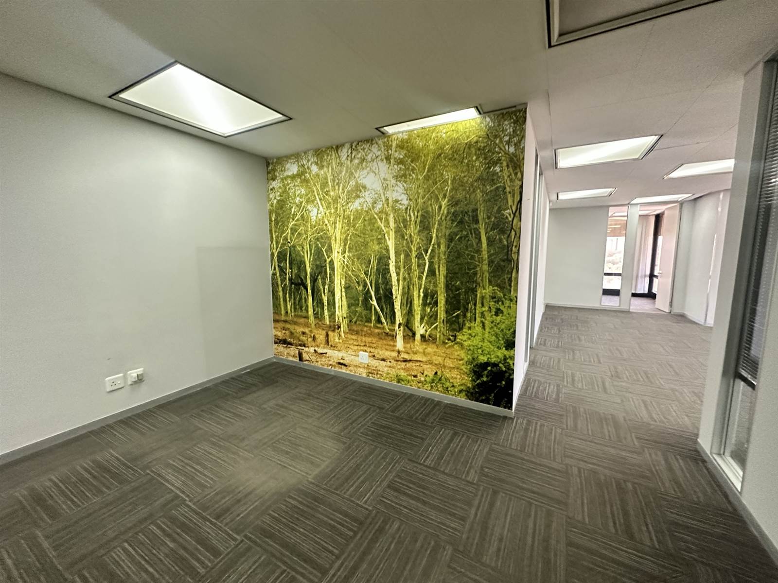 164  m² Commercial space in Auckland Park photo number 7