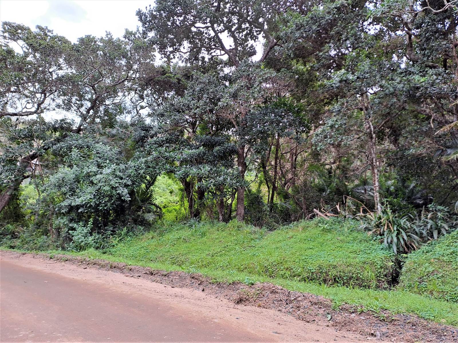1505 m² Land available in Glenmore photo number 2