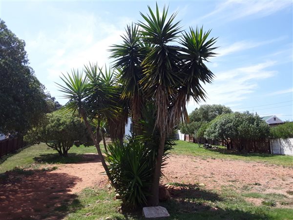 1018 m² Land available in Albertinia