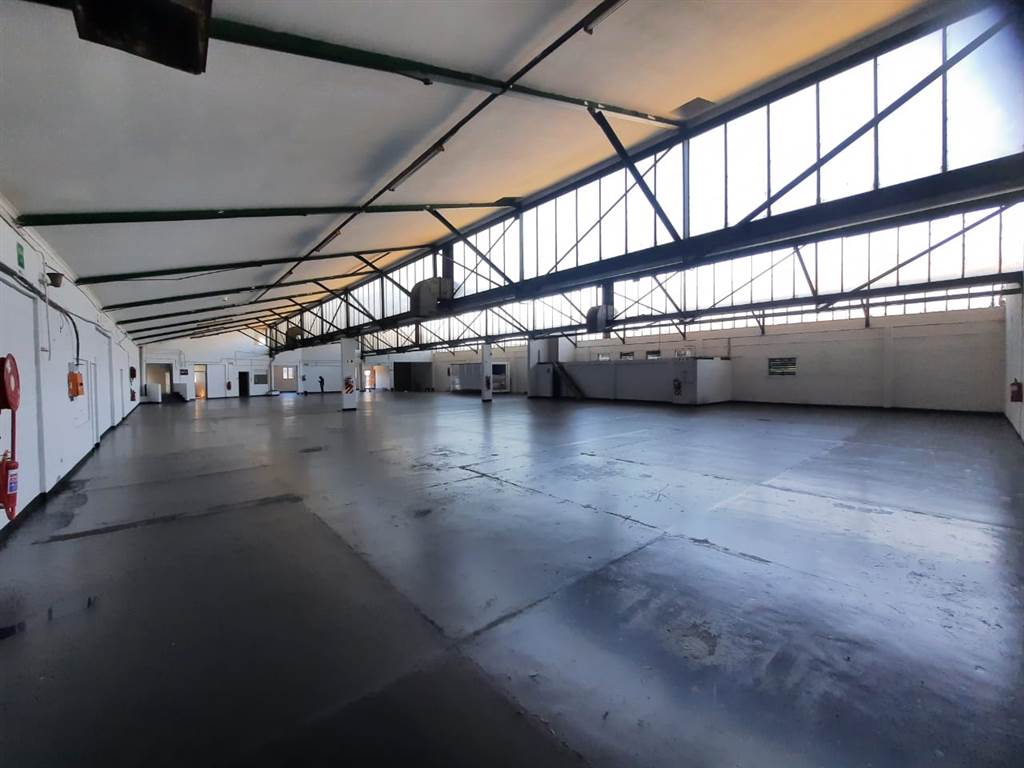1433  m² Industrial space in Goodwood photo number 11