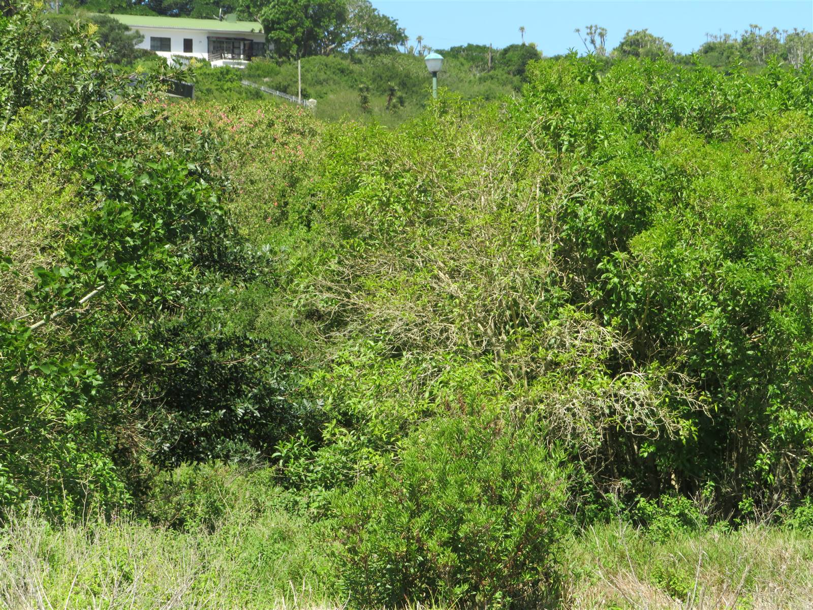 761 m² Land available in Port Alfred photo number 6