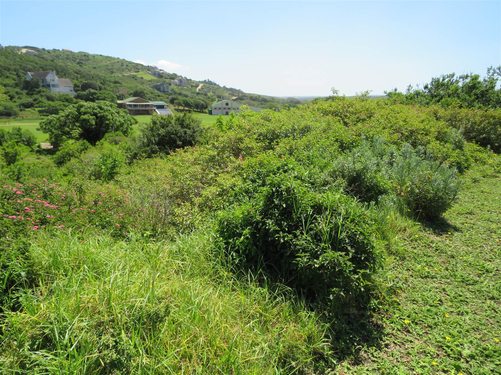 761 m² Land available in Port Alfred photo number 17