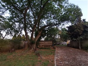 House in Jukskei Park