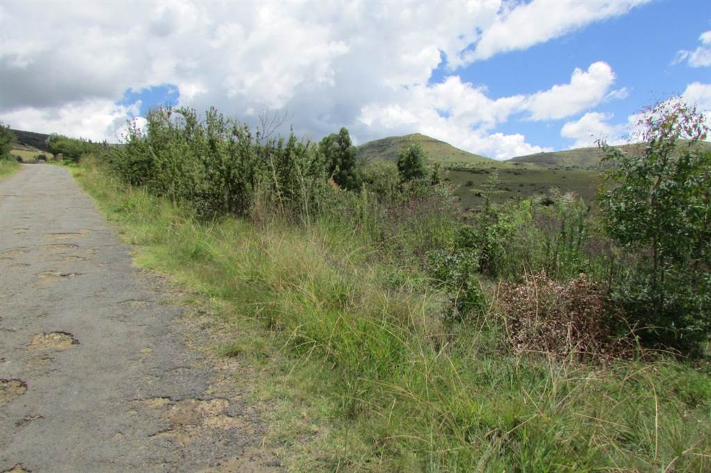 1174 m² Land available in Clarens photo number 6