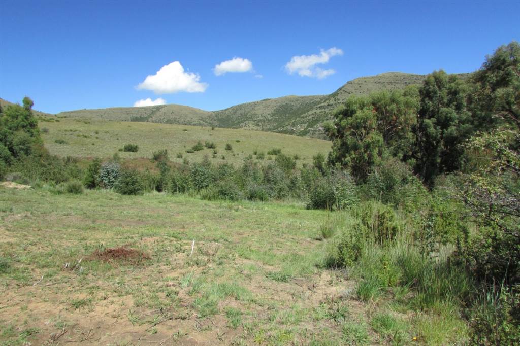 1174 m² Land available in Clarens photo number 10