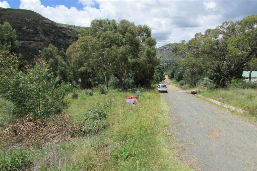 1174 m² Land available in Clarens photo number 5