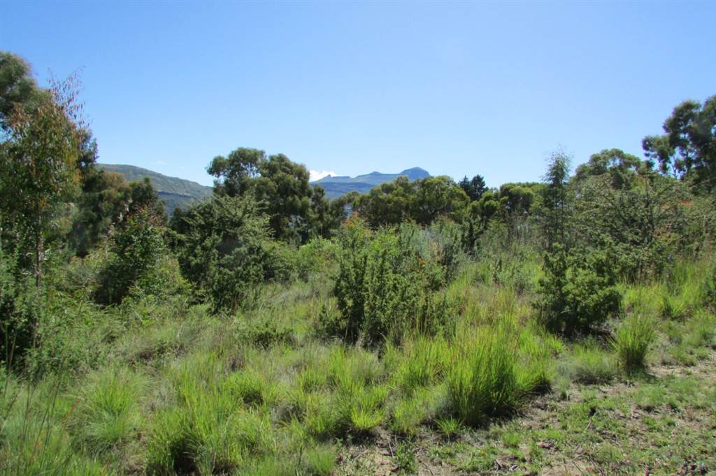1174 m² Land available in Clarens photo number 7