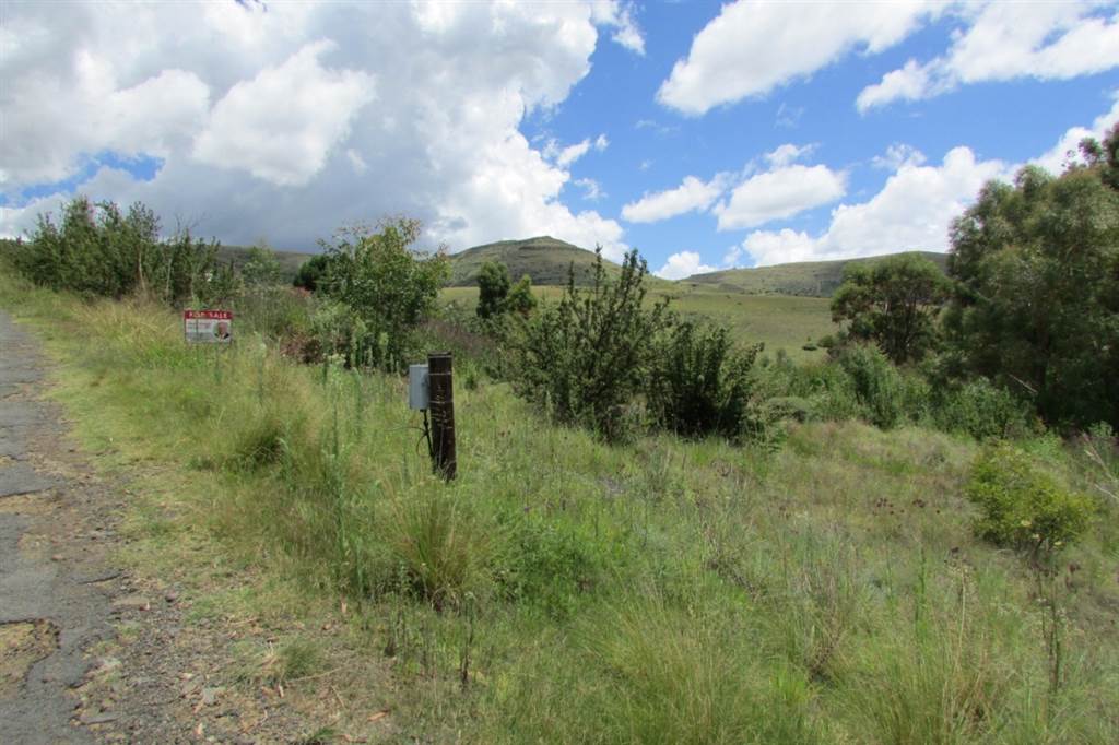 1174 m² Land available in Clarens photo number 1