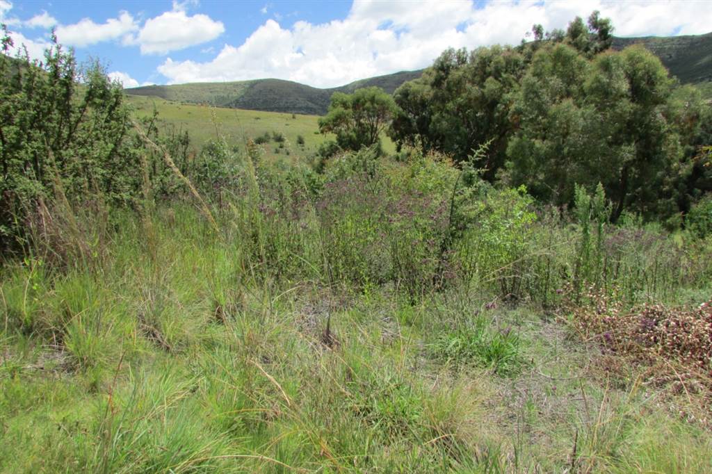 1174 m² Land available in Clarens photo number 3