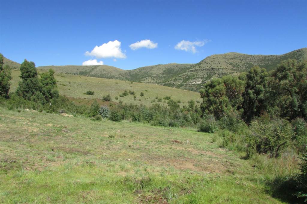 1174 m² Land available in Clarens photo number 12