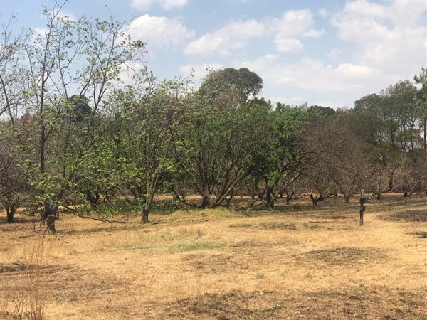 4.2 ha Land available in Rietfontein