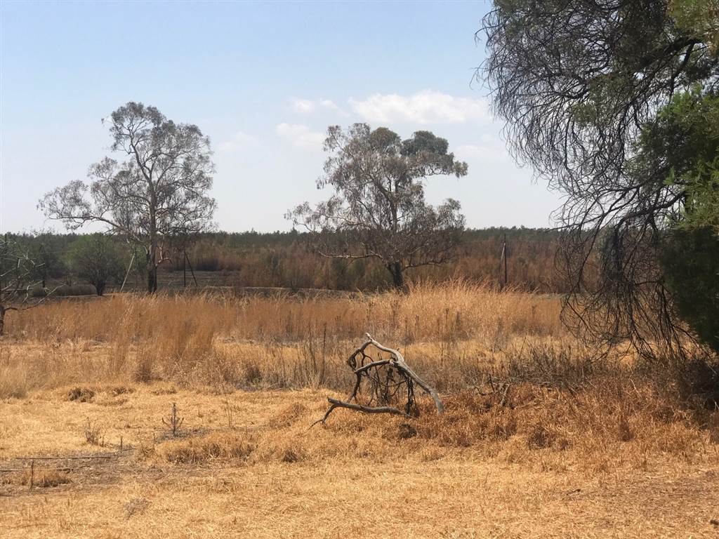 4.2 ha Land available in Rietfontein photo number 3