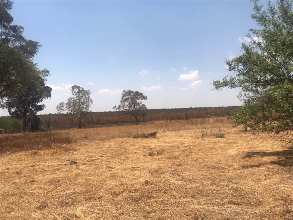 4.2 ha Land available in Rietfontein photo number 5