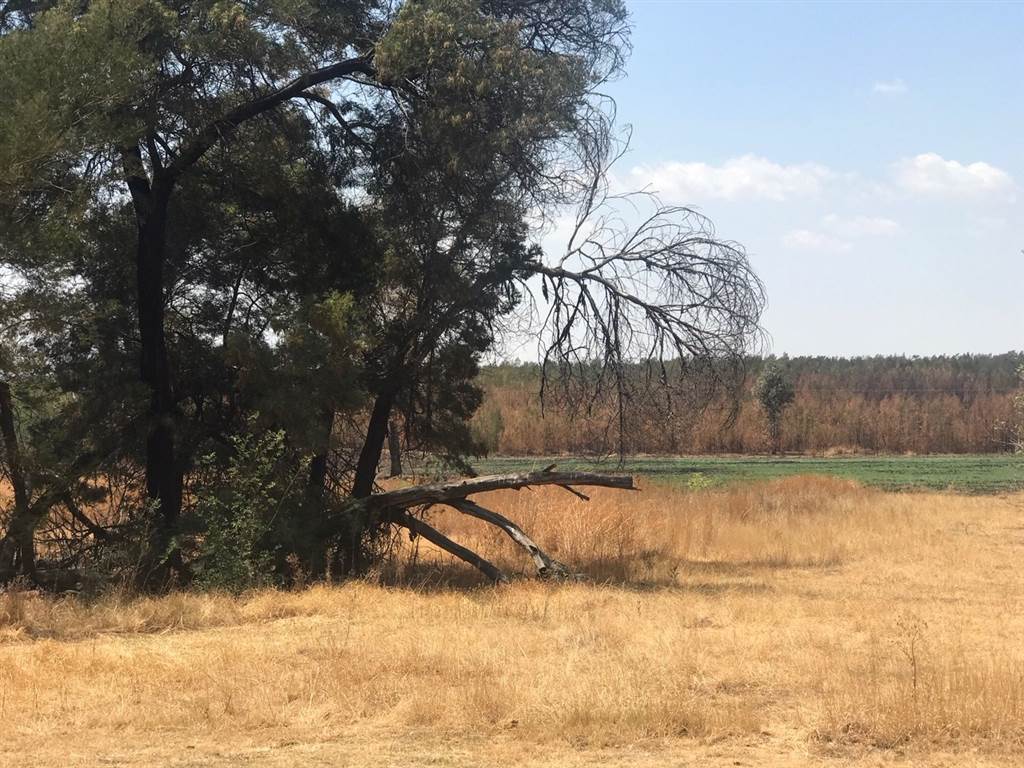 4.2 ha Land available in Rietfontein photo number 4
