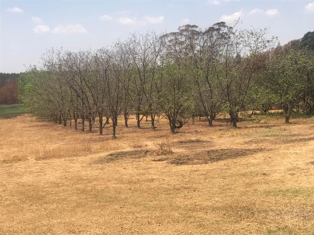 4.2 ha Land available in Rietfontein photo number 2