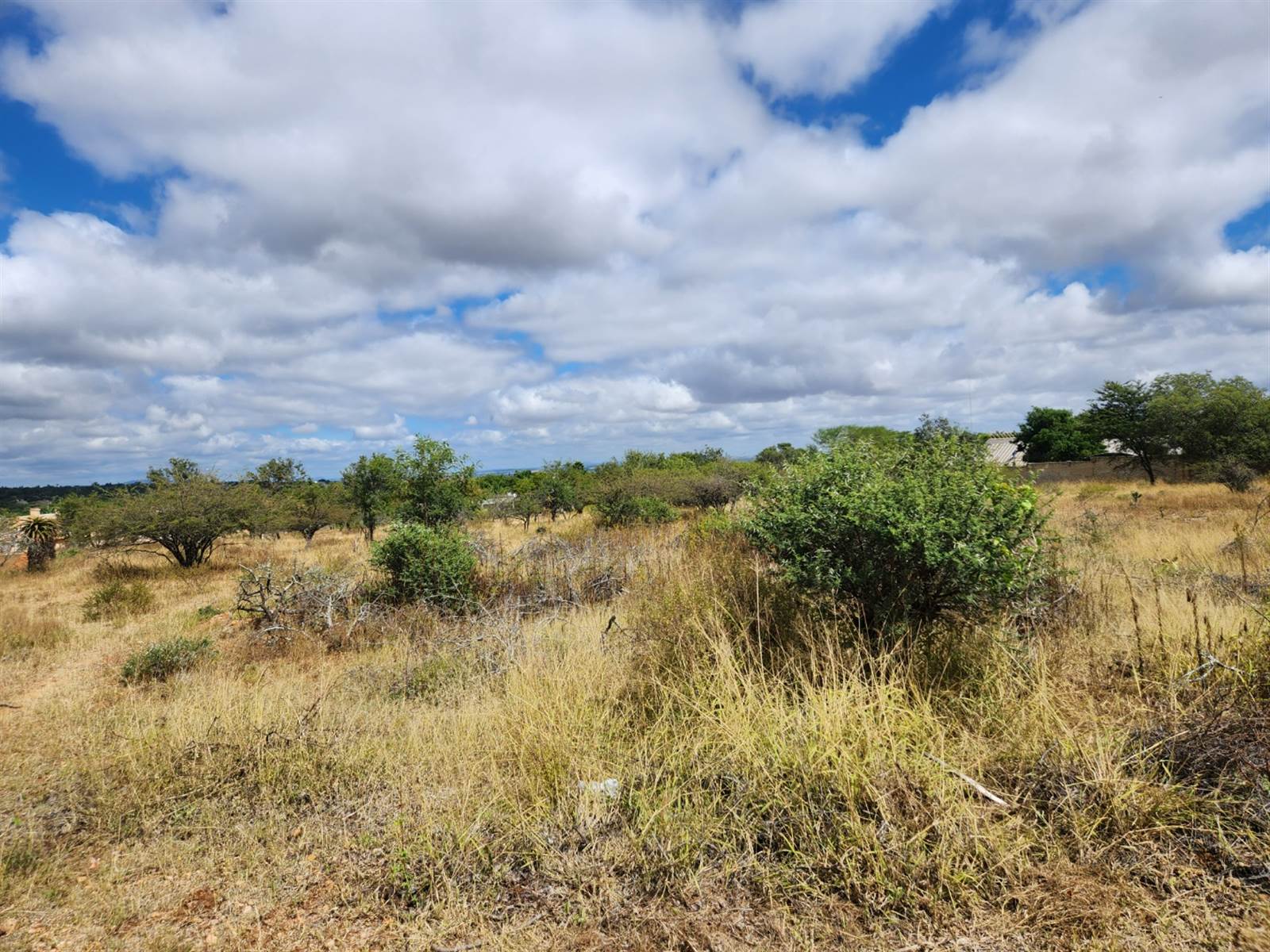 8000 m² Land available in Broadlands photo number 8