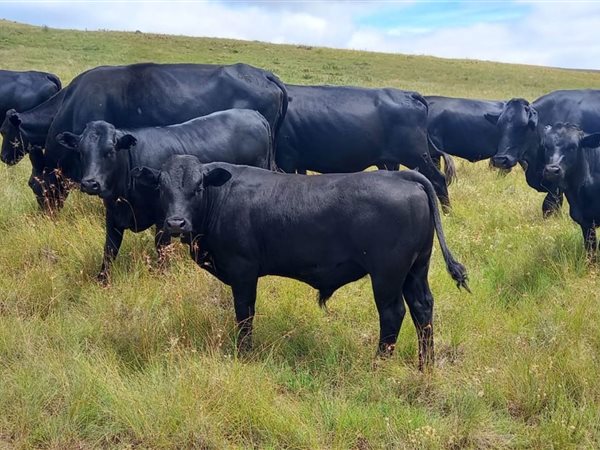 588 ha Farm 588 ha Farm